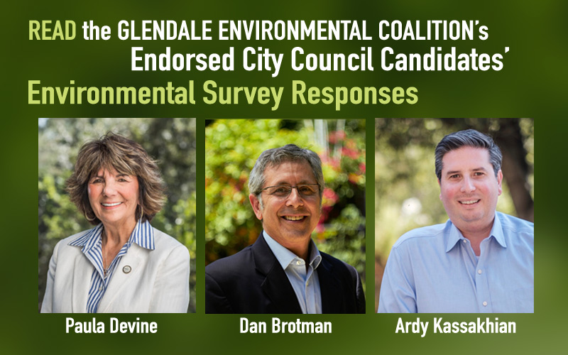GEC Endorsed Candidates on Environmental Issues in Glendale