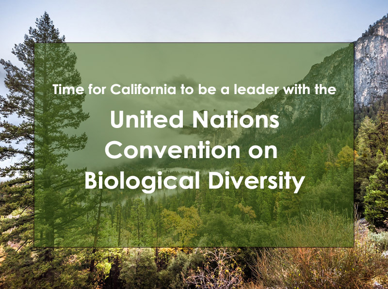 GEC Supports California’s Participation in the UN Convention on Biological Diversity