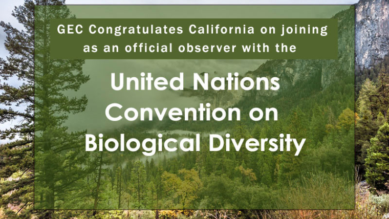 CA joins as official observer with UN Convention on Biological Diversity