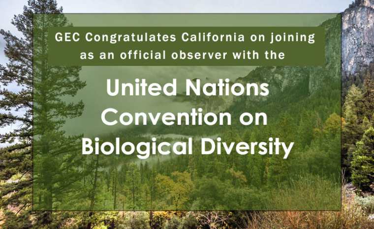 California Has Become An Official Observer With The Convention On ...