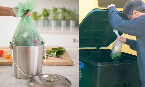 City of Glendale, CA on X: What can & can't go in your organics recycling  container? ✓ Food scraps can be placed in a clear plastic bag with yard  trimmings in your