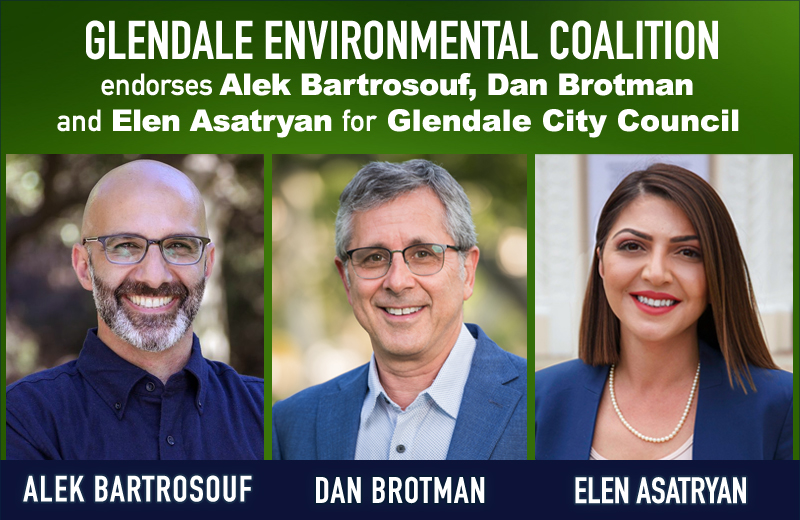GEC is excited to endorse councilmembers Dan Brotman and Elen Asatryan and commissioner Alek Bartrosouf for the Glendale City Council. All three of these candidates have demonstrated deep support for environmental causes in Glendale.