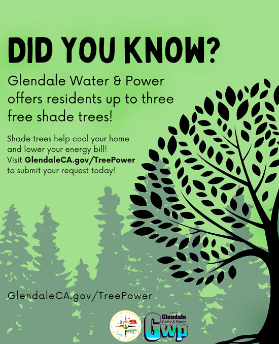 GWP Offers up to 3 Free Shade Trees!