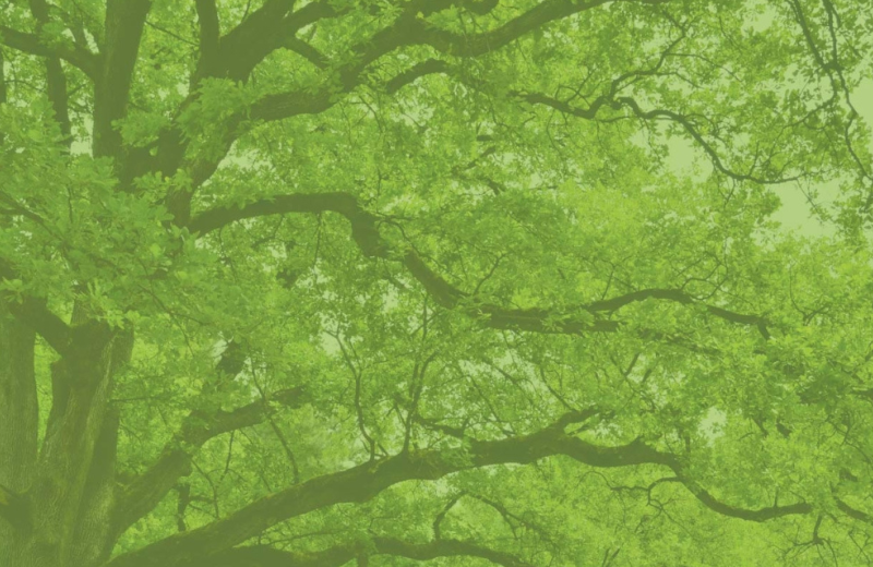 Community Resources, Wildfire Relief and Climate Action & Adaptation Planning