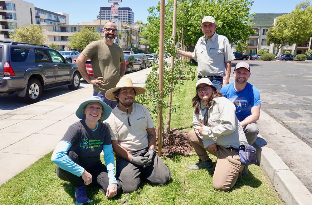 GEC helps plant an entire block of Oaks in South Glendale!