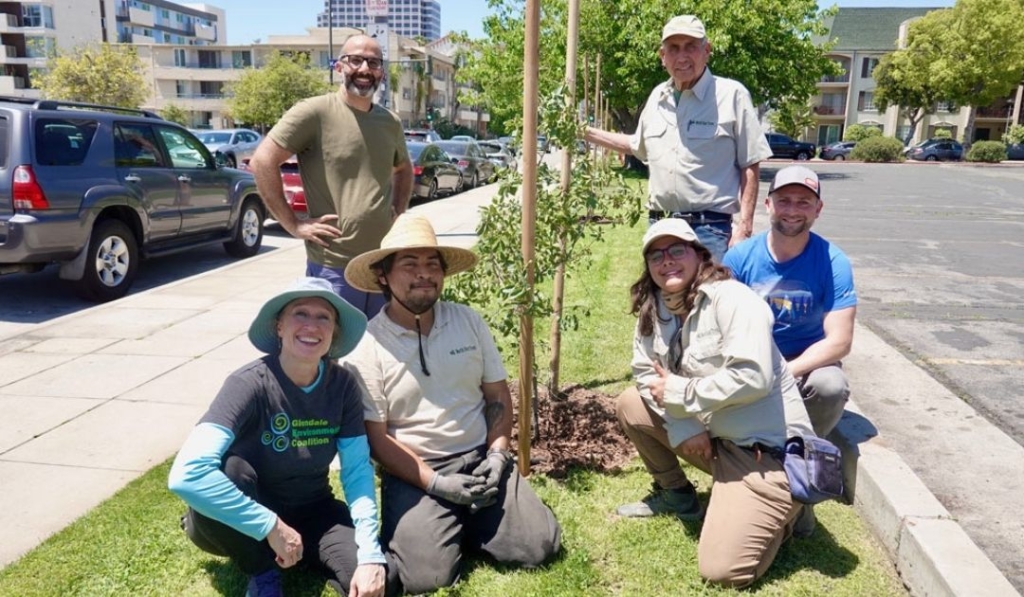 GEC helped plant a new block of Engelmann Oaks in South Glendale in front of GUSD HQ in collaboration with GUSD, Glendale Open Space & Parks Foundation, North East Trees!